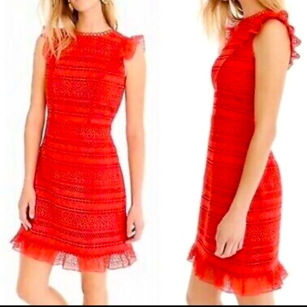 NWT Beautiful J. Crew Dress. - Picture 3 of 9